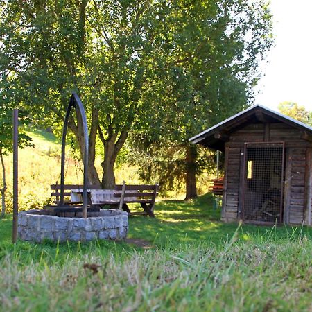 Brauereigasthof Rogg Lenzkirch Luaran gambar