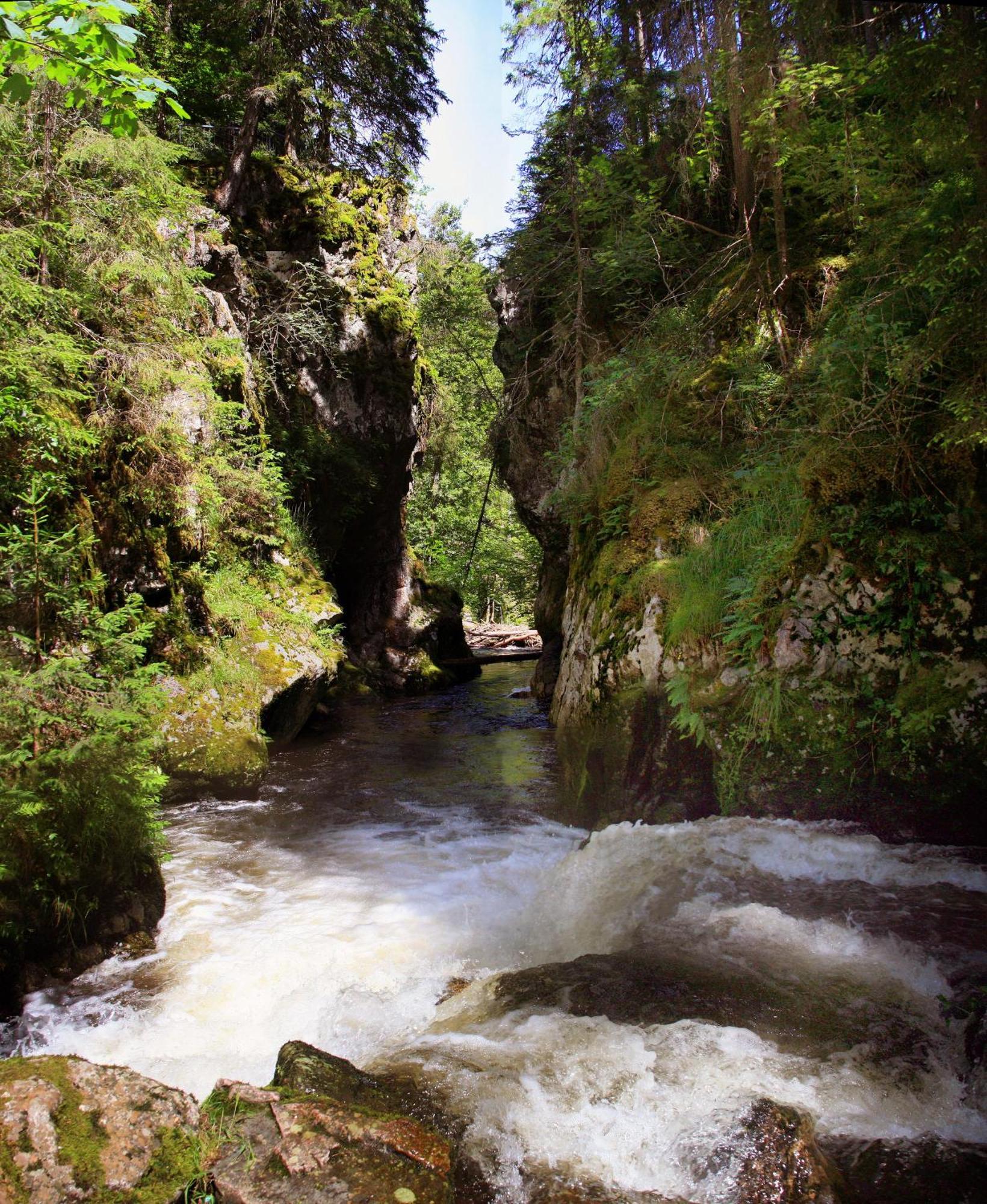 Brauereigasthof Rogg Lenzkirch Luaran gambar