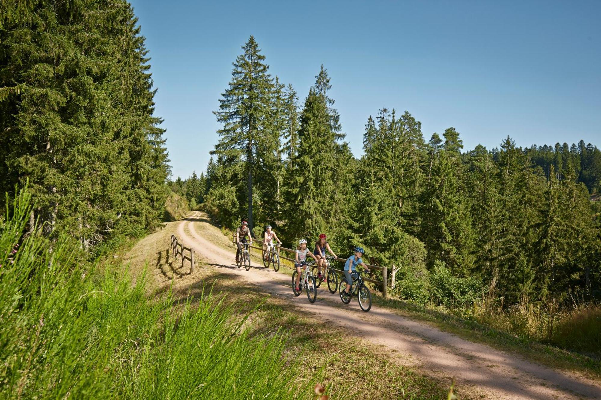 Brauereigasthof Rogg Lenzkirch Luaran gambar